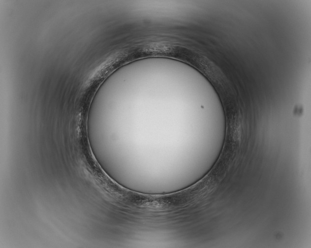 X0000110920735200907021458