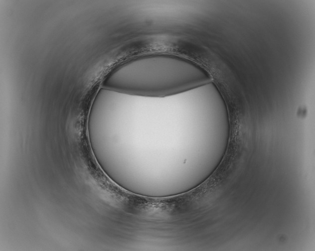X0000110920736200907021458