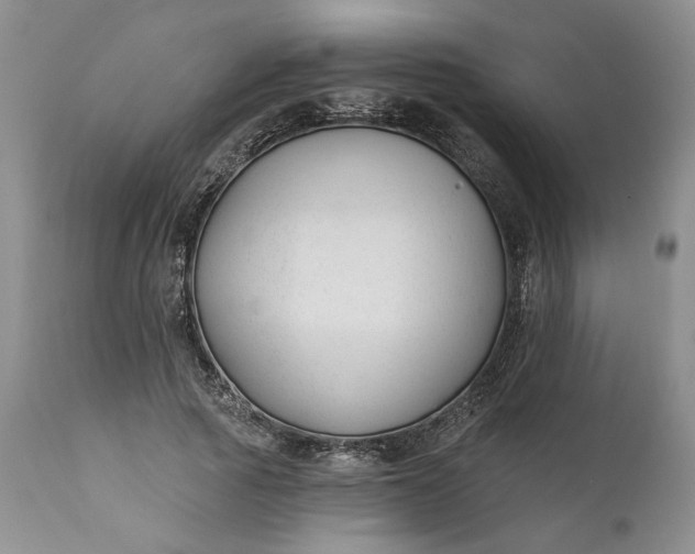 X0000110920737200907021458