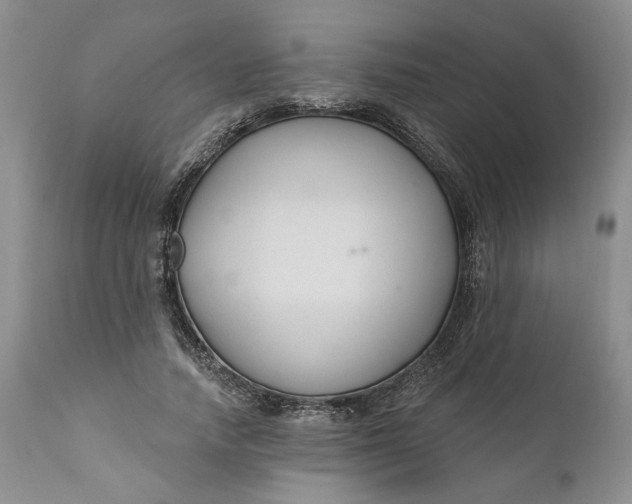 X0000110920738200907021458