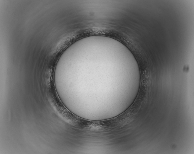 X0000110920742200907021459