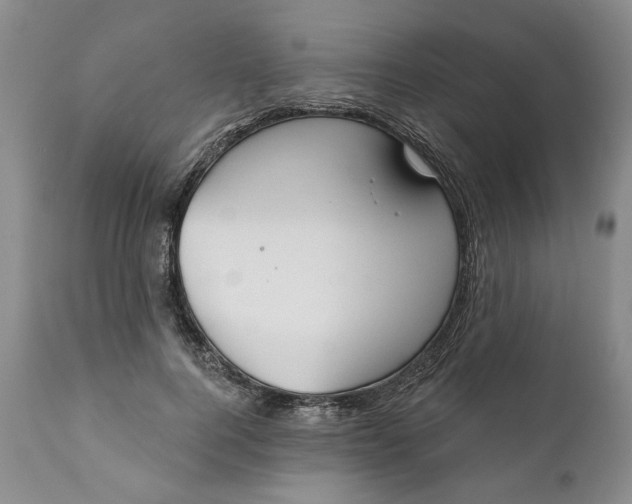 X0000110920744200907021459