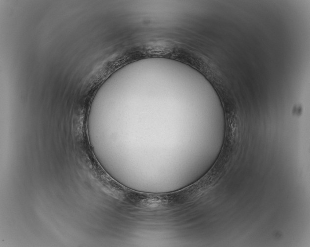 X0000110920745200907021459