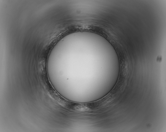 X0000110920747200907021459