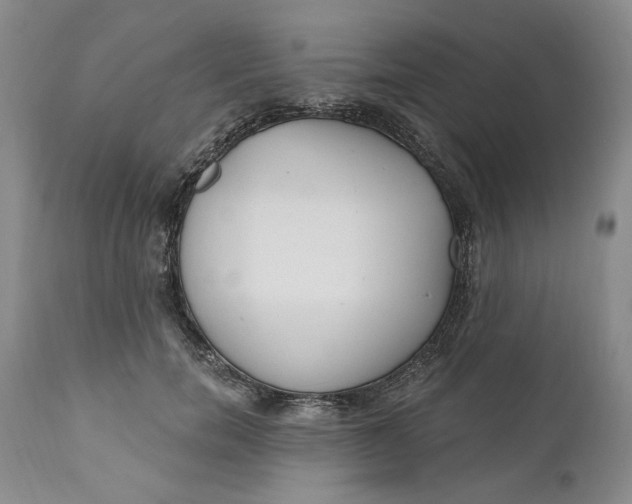 X0000110920750200907021459