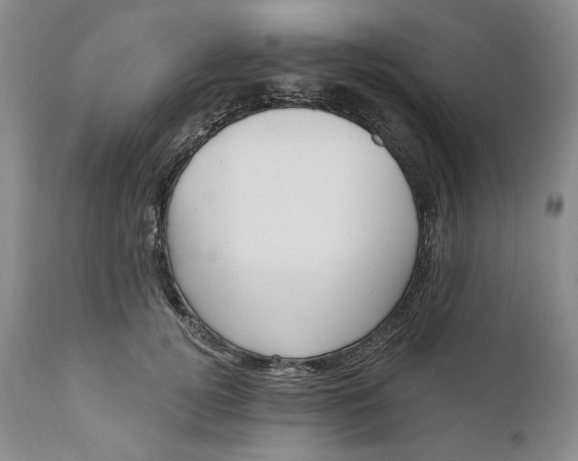 X0000110920752200907021459