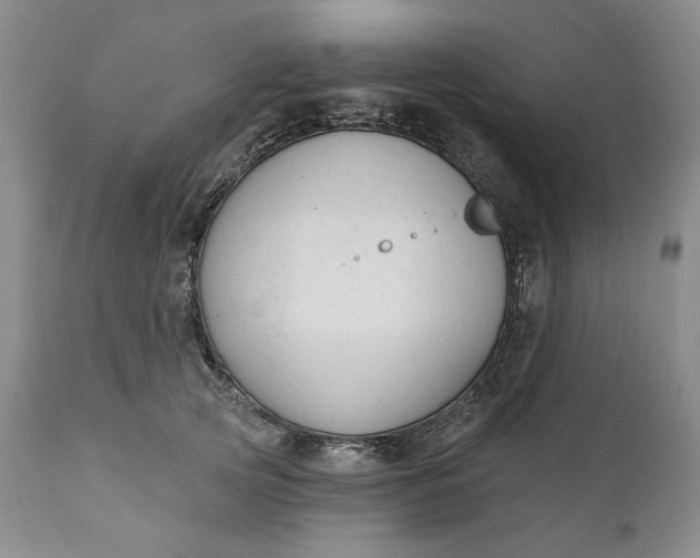 X0000110920753200907021459