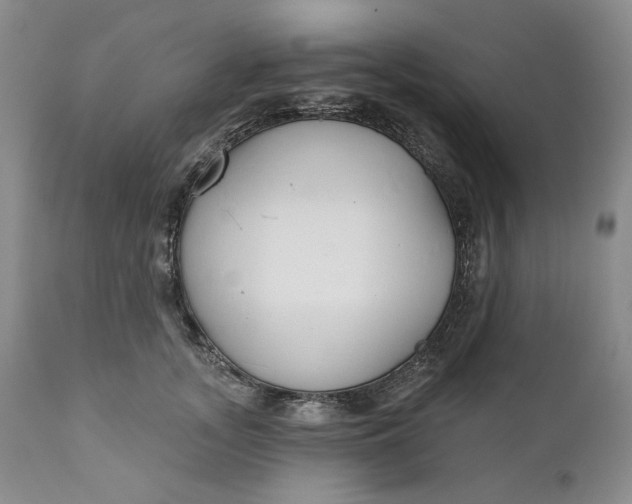X0000110920755200907021459