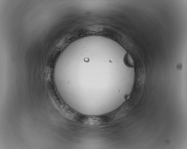 X0000110920758200907021459
