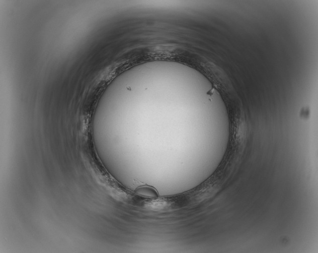 X0000110920759200907021459