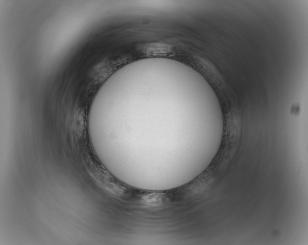 X0000110920761200907021459