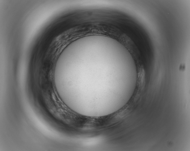 X0000110920765200907021459