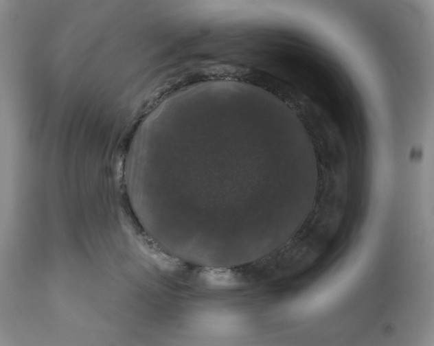 X0000110920767200907021459
