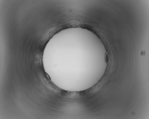X0000110920768200907021459