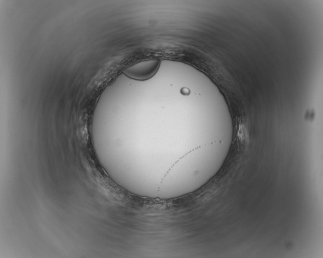 X0000110920771200907021458