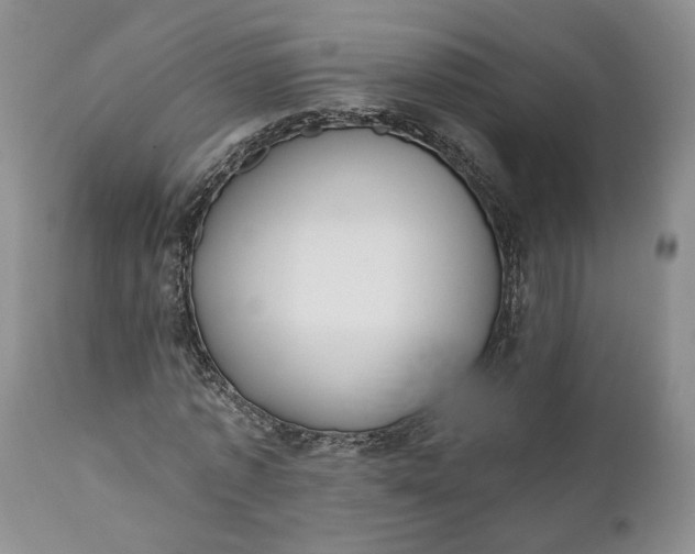 X0000110920773200907021458
