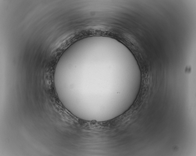 X0000110920774200907021458