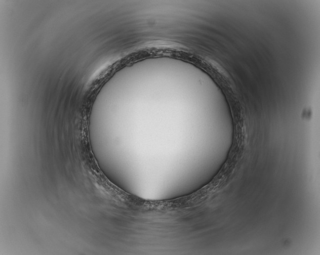 X0000110920775200907021458