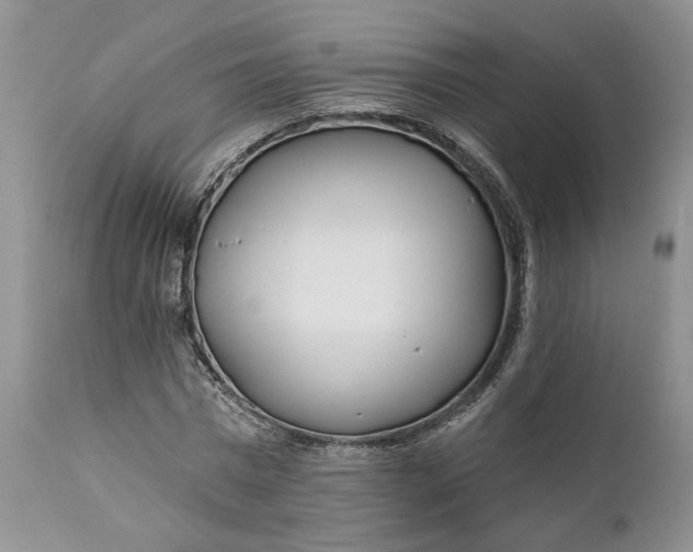 X0000110920777200907021458