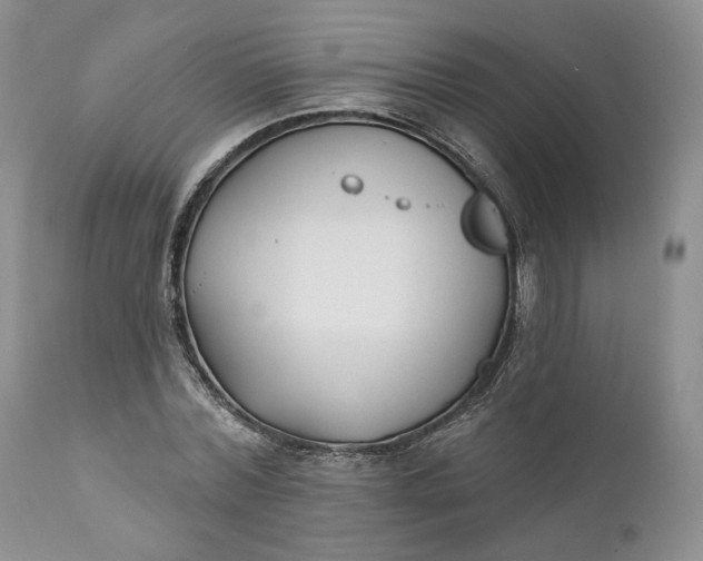 X0000110920780200907021458