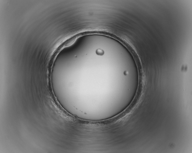 X0000110920781200907021458