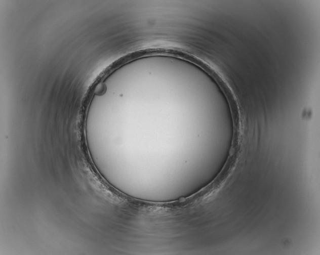 X0000110920783200907021458