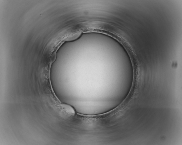 X0000110920785200907021458