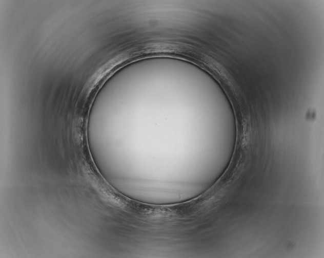 X0000110920786200907021458