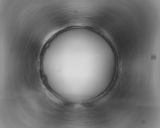 X0000110920787200907021458