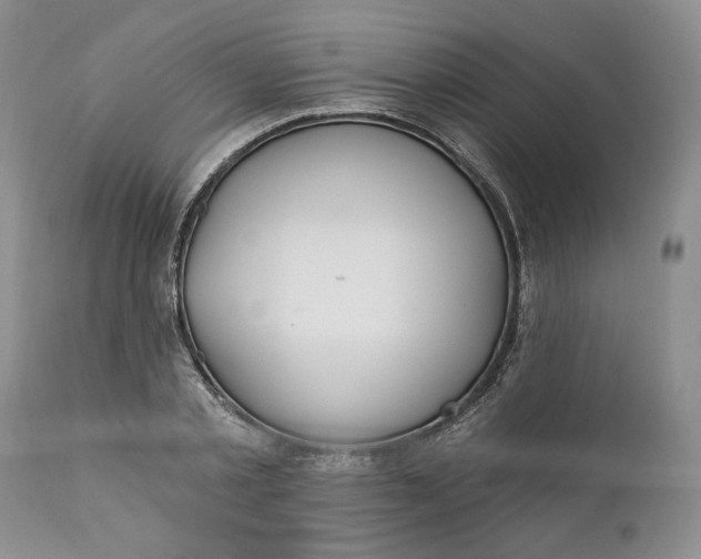 X0000110920789200907021458