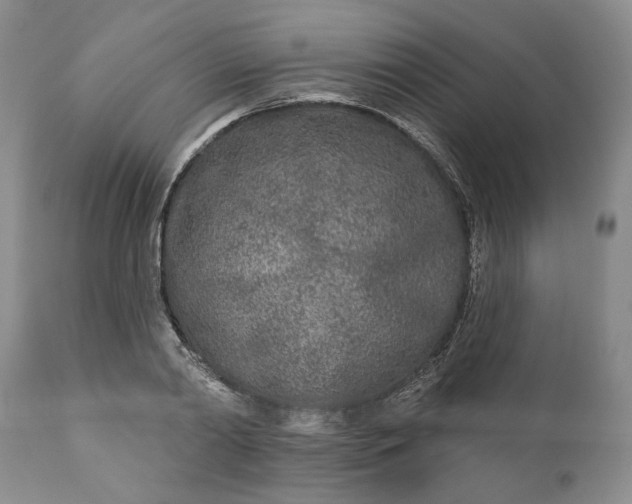 X0000110920790200907021458