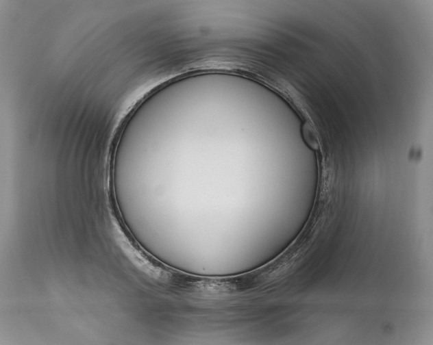 X0000110920795200907021458