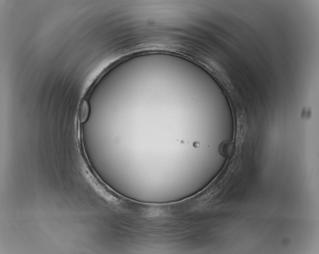 X0000110920796200907021458
