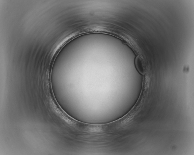 X0000110920798200907021458