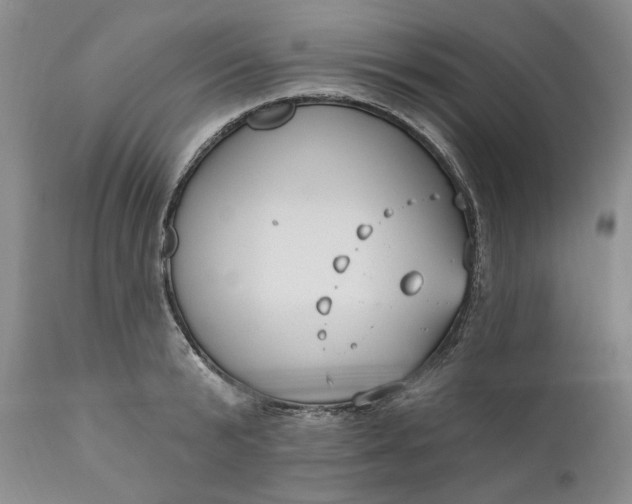 X0000110920799200907021457