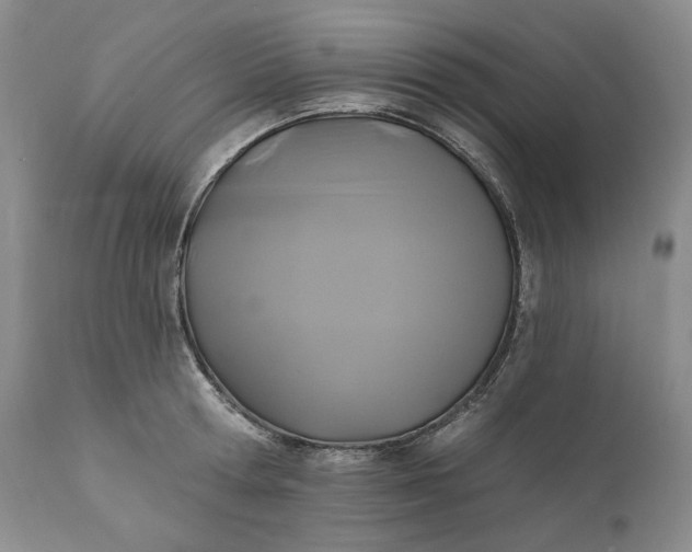 X0000110920802200907021457