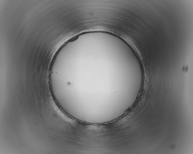 X0000110920805200907021457