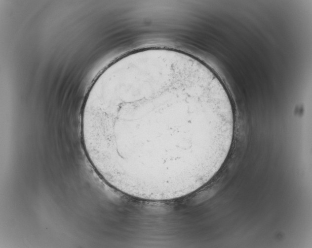 X0000110920807200907021457