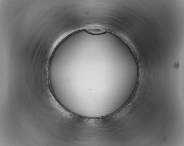 X0000110920808200907021457