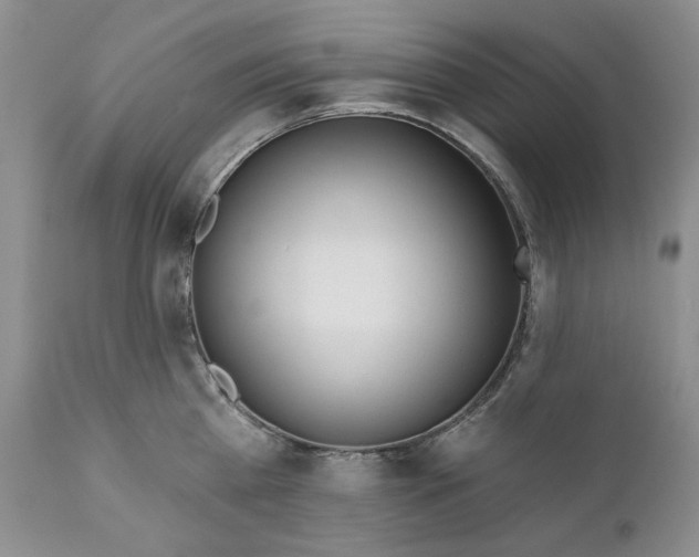 X0000110920809200907021457