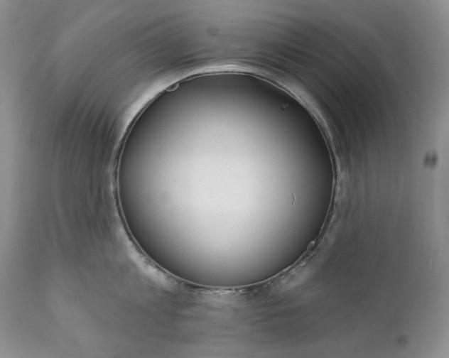 X0000110920813200907021457