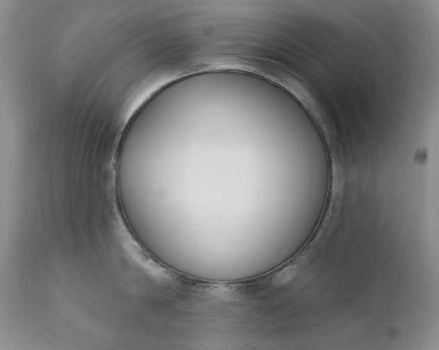 X0000110920814200907021457