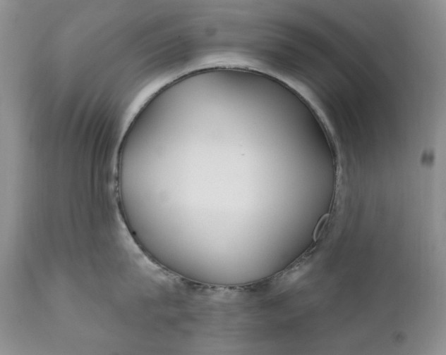 X0000110920815200907021457