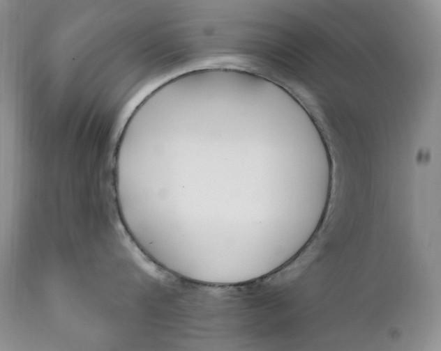 X0000110920816200907021457