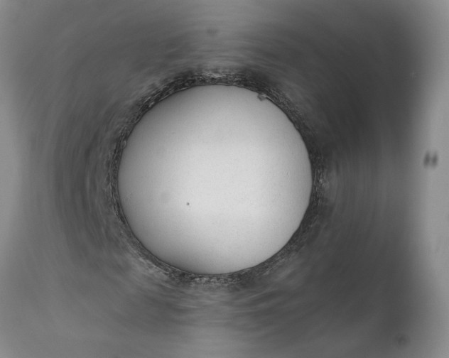 X0000110920817200907021456
