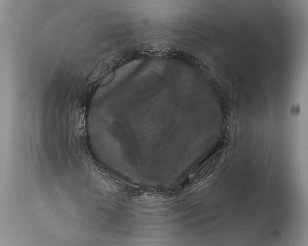 X0000110920818200907021456