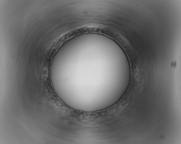 X0000110920821200907021457