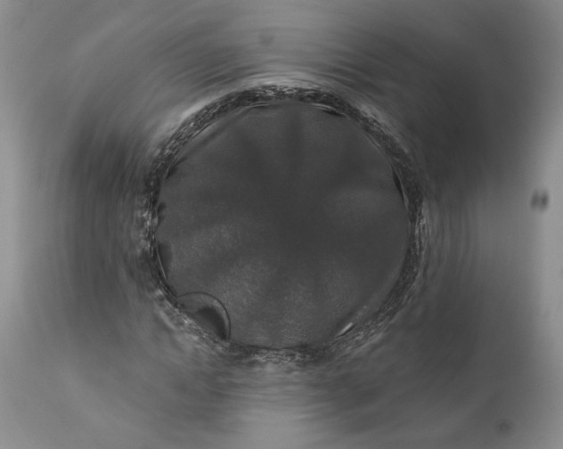 X0000110920822200907021457