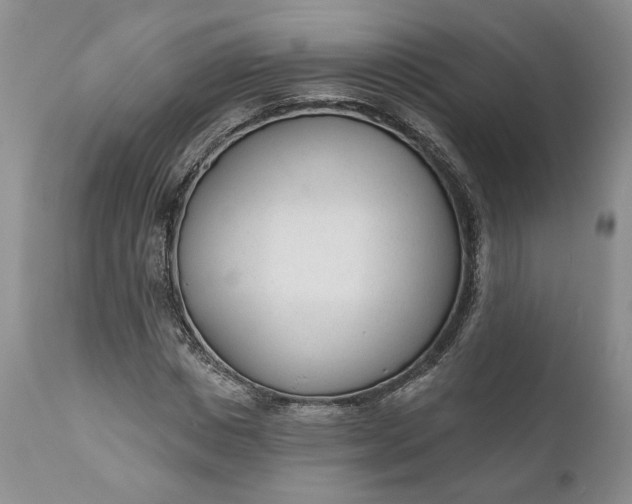 X0000110920825200907021457