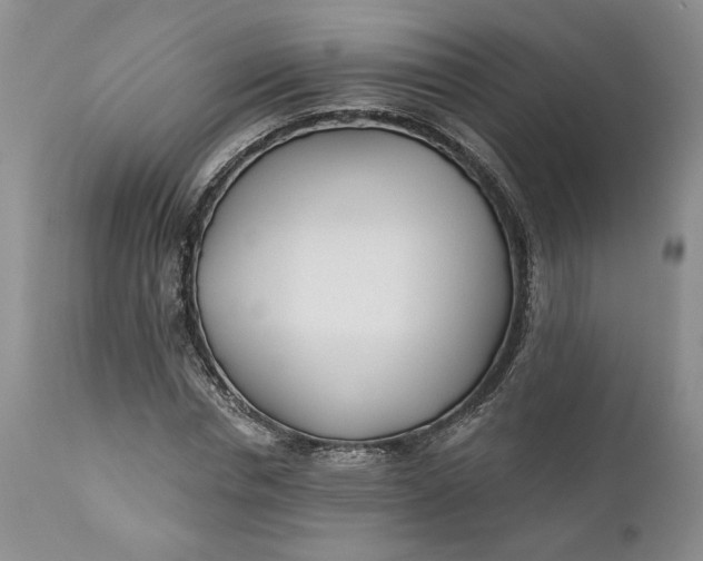 X0000110920826200907021457